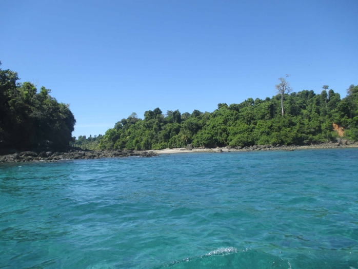 Photo 34 Mangroves IMG_4532 (1) (1)