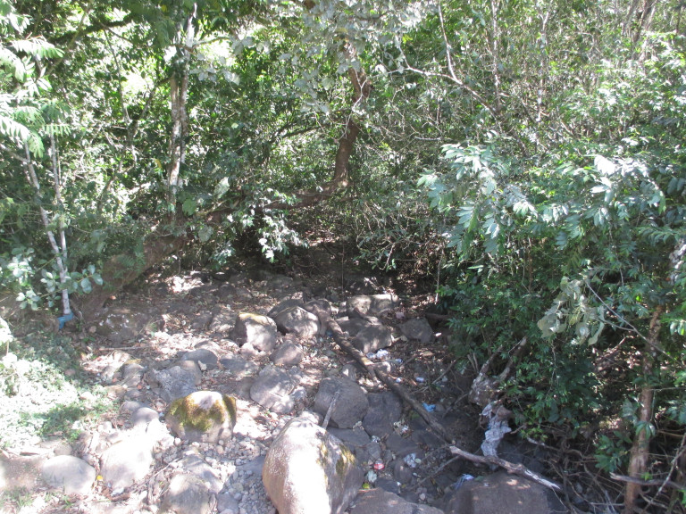 6. A dry stream that used to run with water all year long